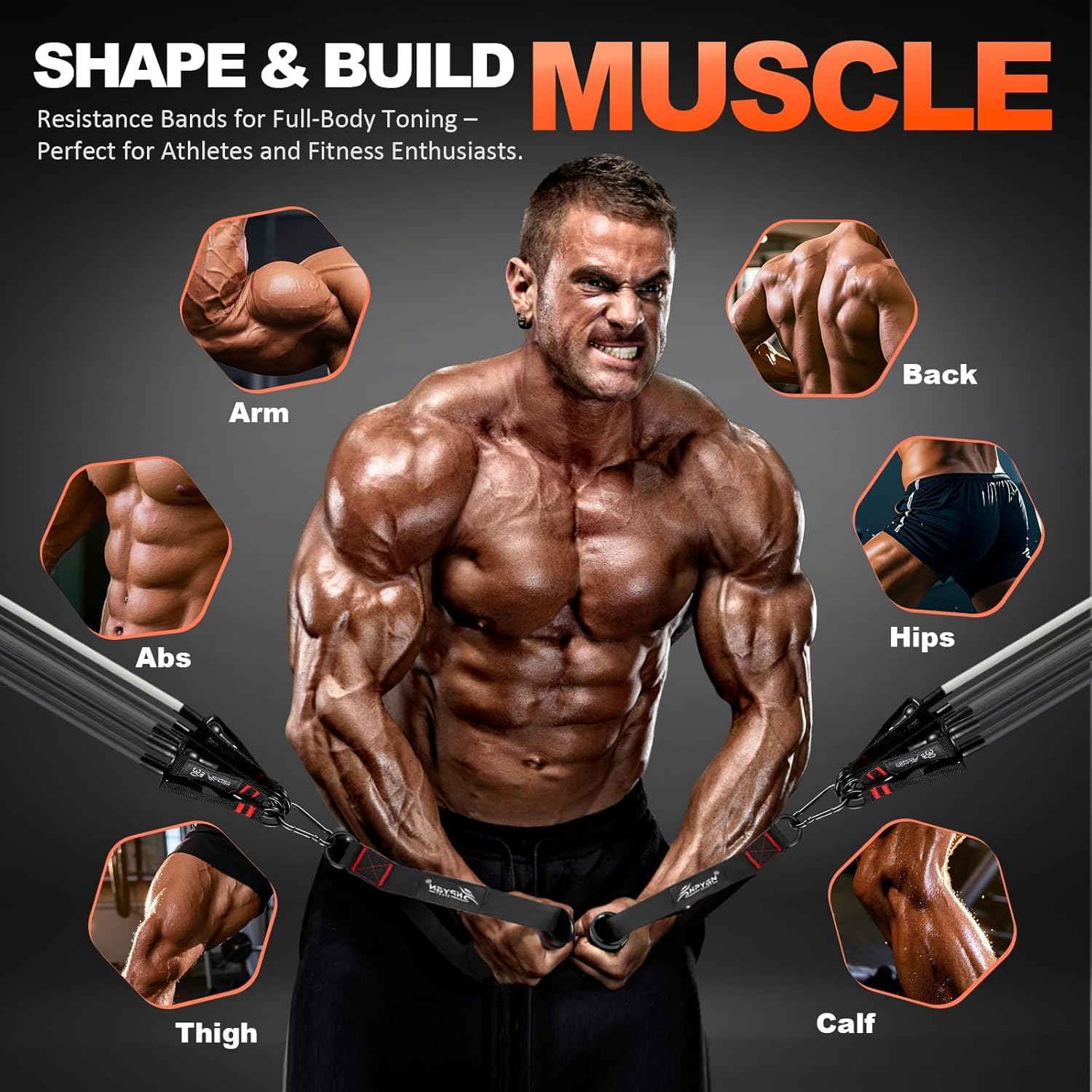 HPYGN Resistance Bands — 5-Level Resistance Bands for Full-Body Workouts