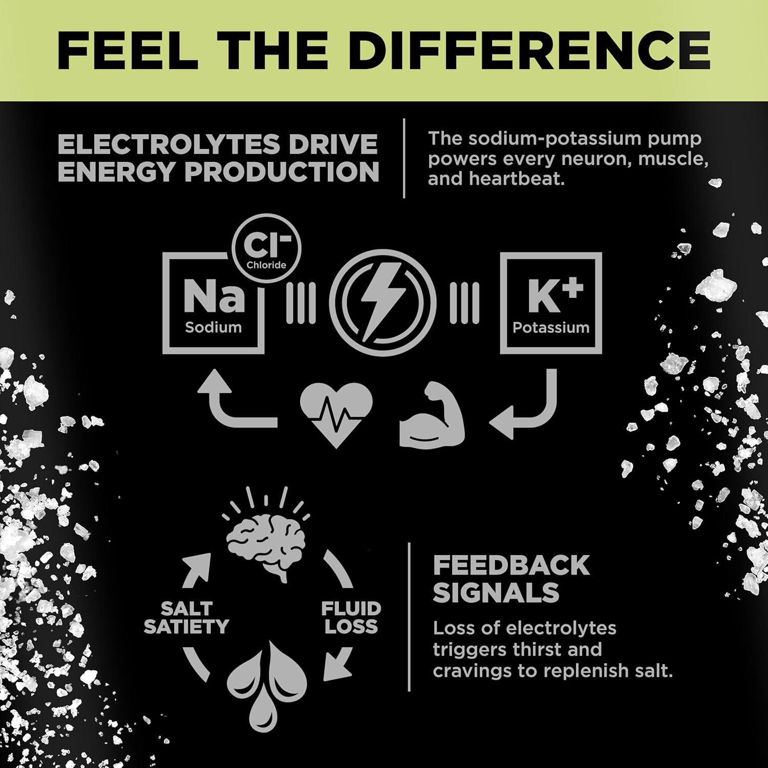 LMNT Sparkling Electrolyte Drink — More Salt, Not Less